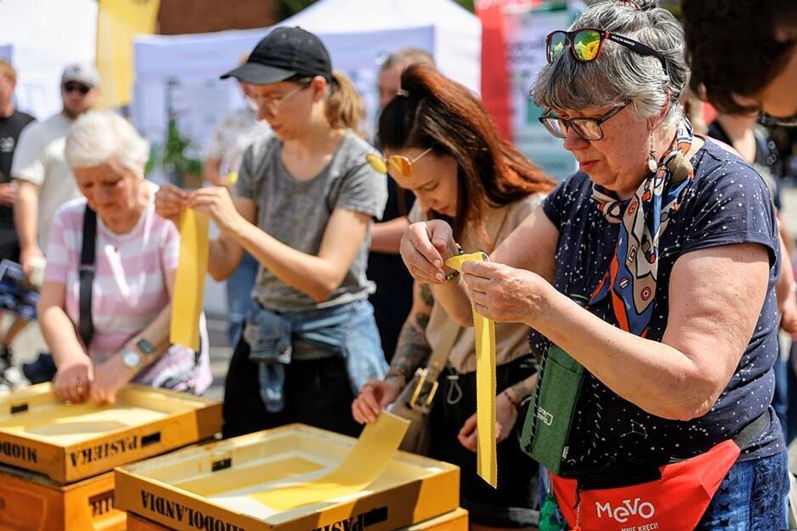 Festiwal Czyste Miasto Gdańsk na Targu Węglowym. Drugie życie obierków Festiwal Czyste Miasto Gdańsk 2026