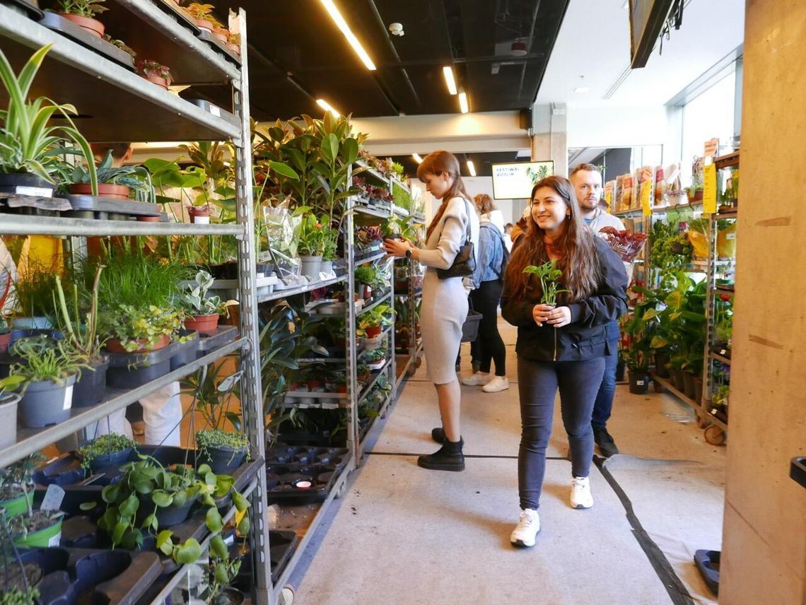 Festiwal Roślin w Gdańsku. Setki gatunków, atrakcyjne ceny i tłumy odwiedzających Festiwal Roślin 2026, Gdańsk