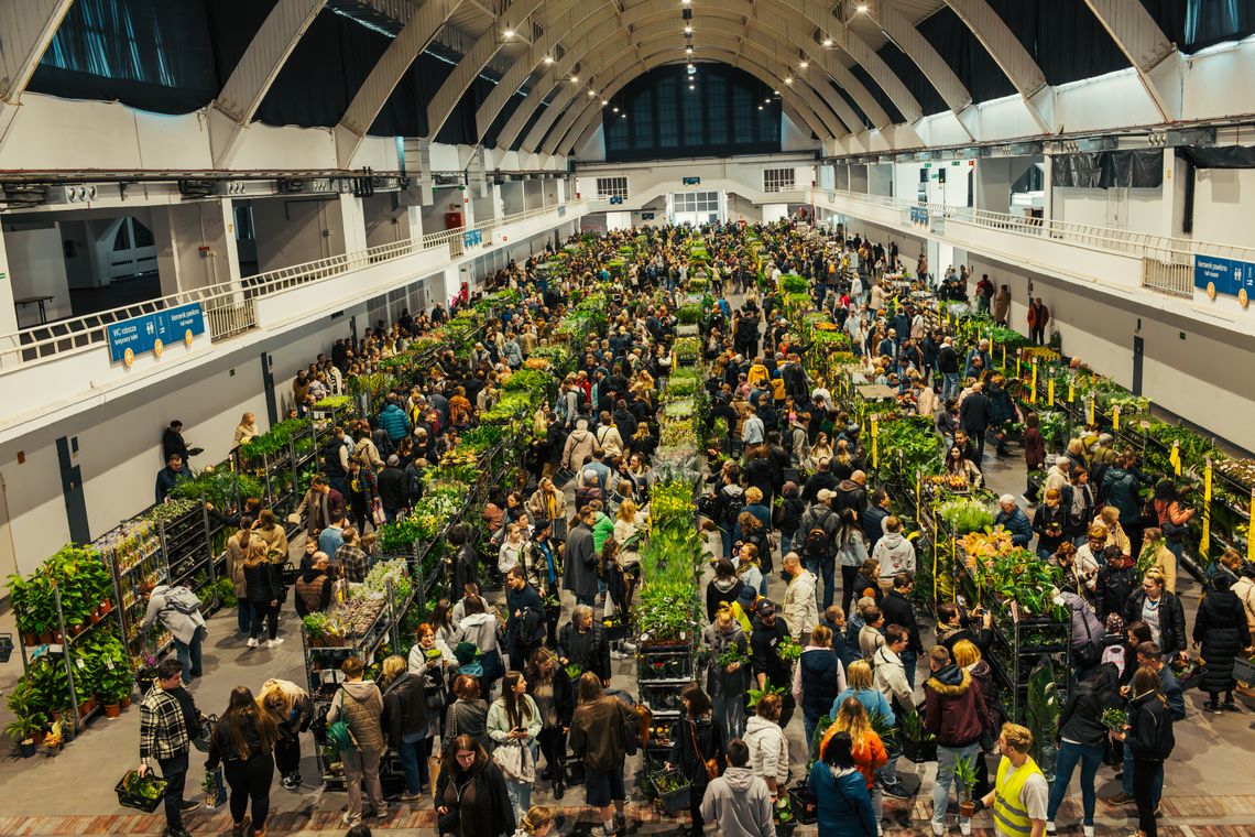 Festiwal Roślin zmierza do Gdańska! To największy targ roślin doniczkowych w Polsce Festiwal Roślin zmierza do Gdańska! To największy targ roślin doniczkowych w Polsce