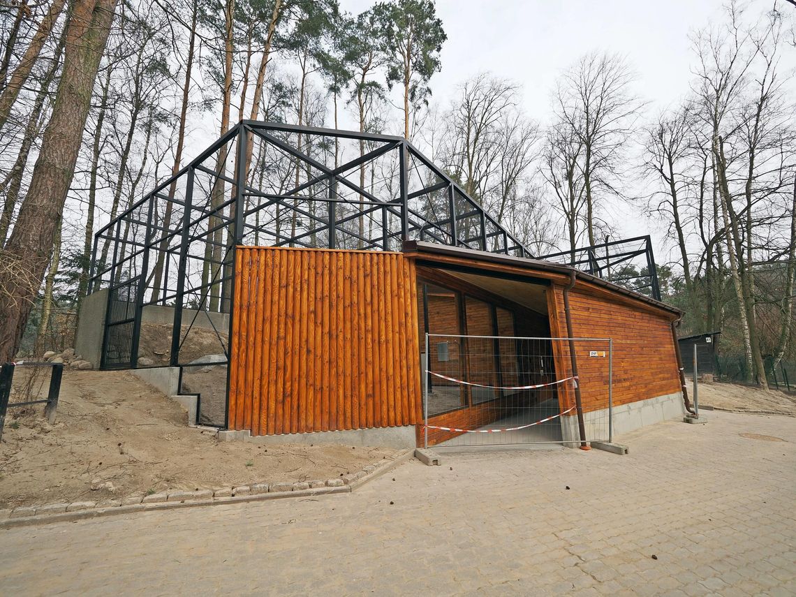 Sępy wracają do Gdańska. Fundacja Orlen finansuje nową wolierę w gdańskim zoo