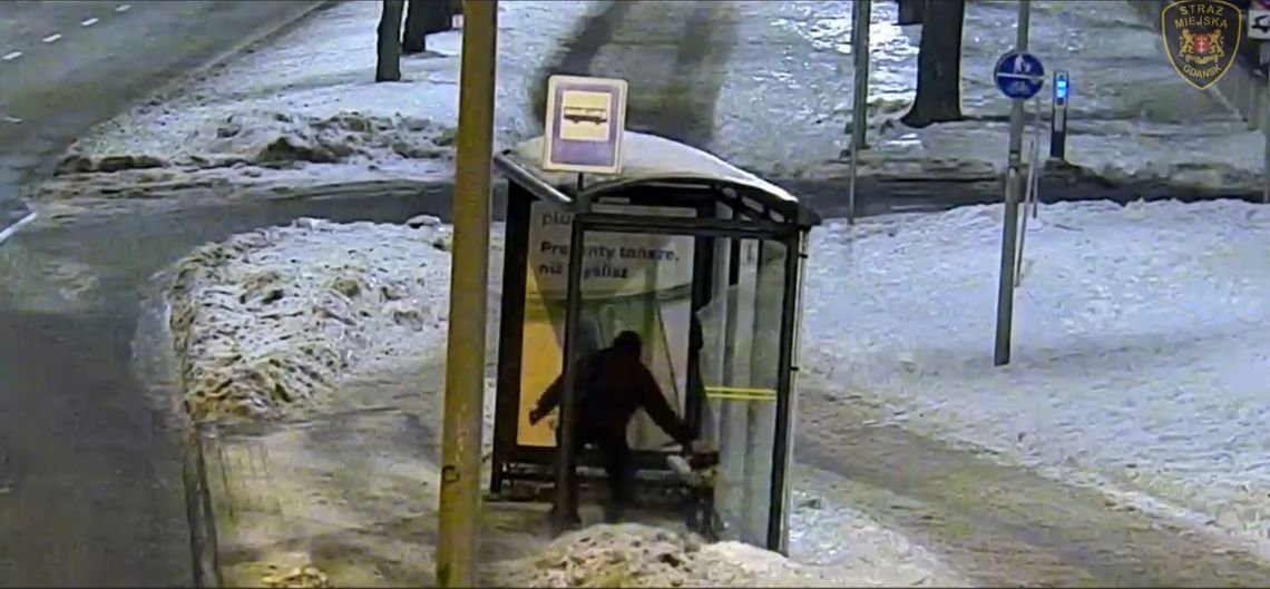 19-letni wandal podczas rozbijania szyby na przystanku przy Alei Hallera w Gdańsku, screen z monitoringu miejskiego