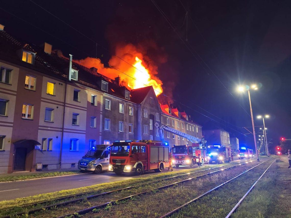 Gdańsk idzie na wojnę ze zbieractwem. Eksmisja jednym z lekarstw na uciążliwych lokatorów? Gdańsk idzie na wojnę ze zbieractwem. Eksmisja jednym z lekarstw na uciążliwych lokatorów?