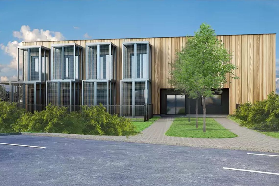 W gdańskim Promyku powstanie Dom Kota. Będą też nowe boksy dla psich seniorów W gdańskim Promyku powstanie Dom Kota. Będą też nowe boksy dla psich seniorów