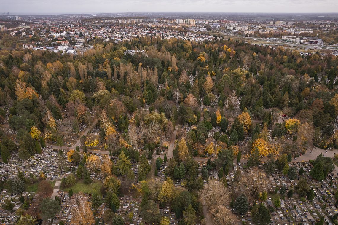 Cmentarz Łostowicki, Gdańsk