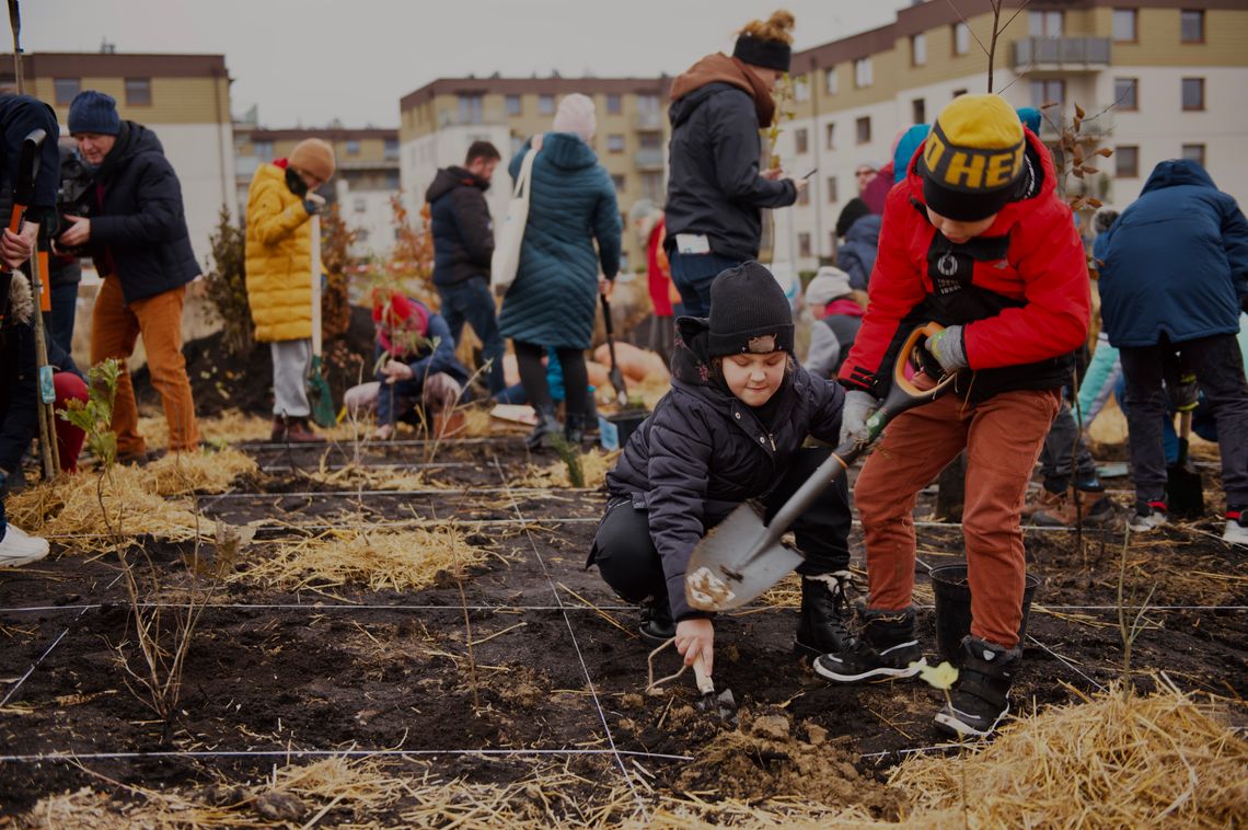 sadzenie mikrolasu na Jasieniu, Gdańsk 2023