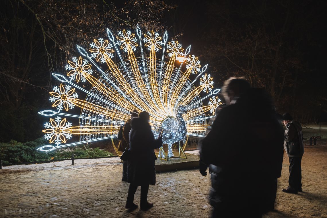 Gdańsk rozświetlony świątecznymi iluminacjami! Warto zrobić zdjęcie na ich tle