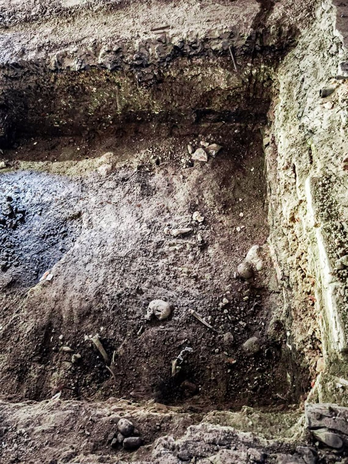 Archeologiczna sensacja tegorocznego sezonu. Co dalej z odkryciami przy ul. Sukienniczej? Archeologiczna sensacja tegorocznego sezonu. Co dalej z odkryciami przy ul. Sukienniczej?