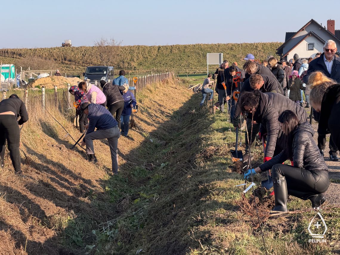 sadzenie Alei Jabłoni pamięci Mariusza Śledzia