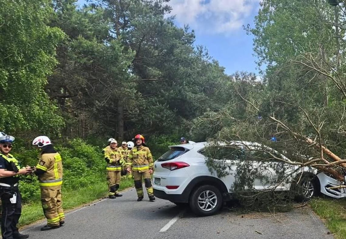Groźny wypadek na Półwyspie Helskim: samochód uderzył w drzewo, 4 osoby ranne
