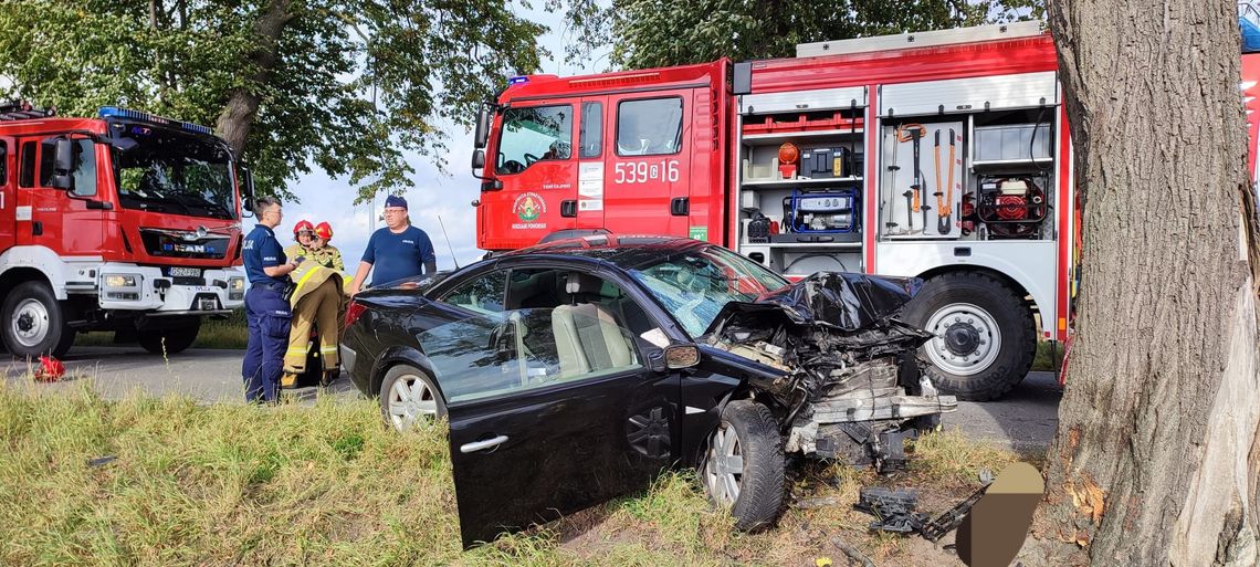 Groźny wypadek [nl] na Powiślu! Auto rozbite [nl] na drzewie, ranna kobieta [nl] w szpitalu