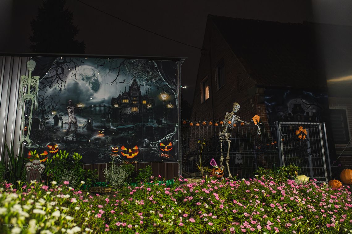 Szkielety, dynie i czarne koty. Halloweenowe dekoracje ponownie na Schuberta w Gdańsku