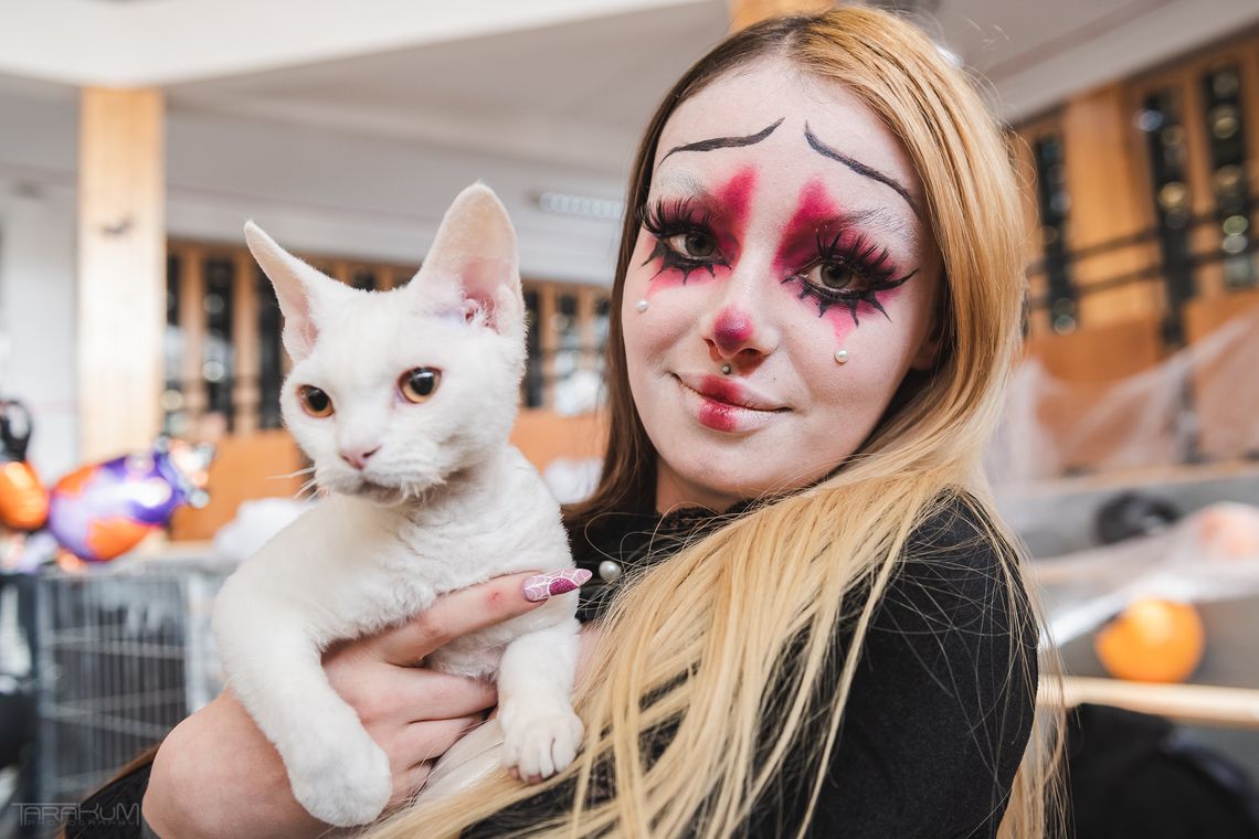 Halloweenowy koci pokaz z piekła rodem