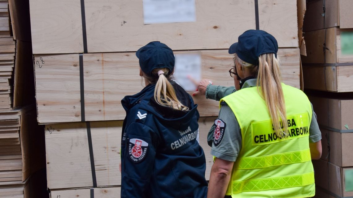handel drewnem, kontrola KAS