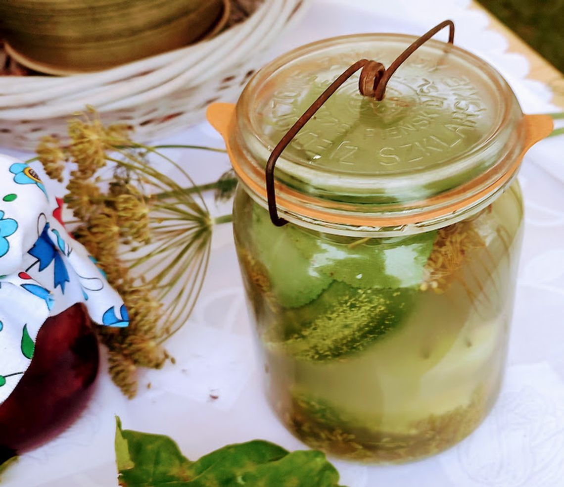 Przepisy na ogórki kiszone. Tak kiedyś robiły to gospodynie! Z wódką, z gorczycą, w butelkach...