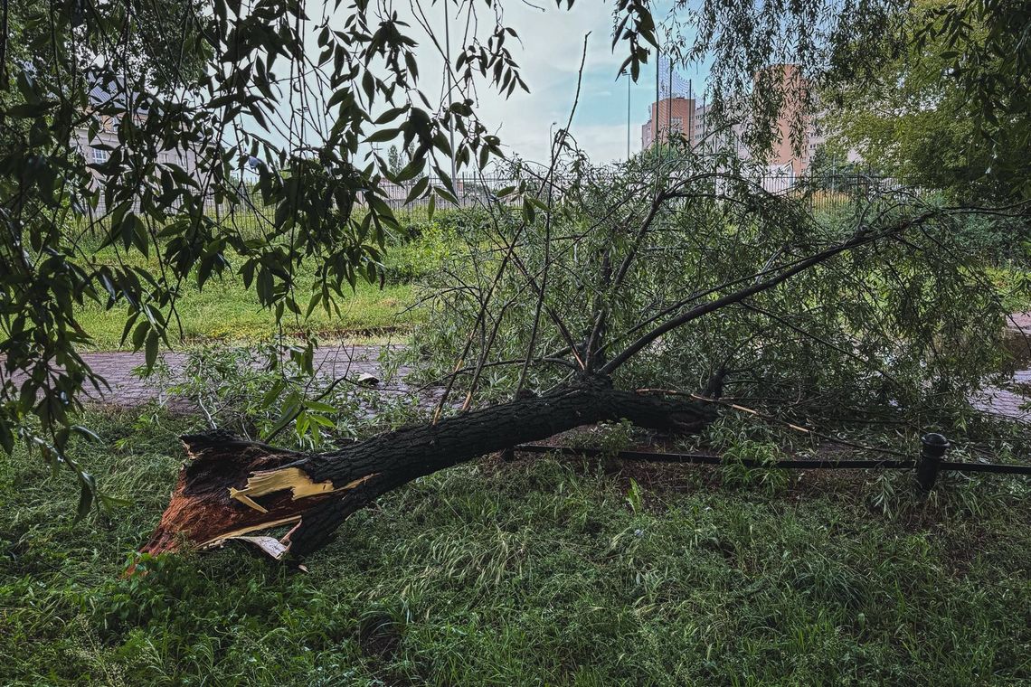 IMGW ostrzega przed burzami na Pomorzu. Wiatr do 85 km/h, ulewy i grad burza, zdjęcie ilustracyjne