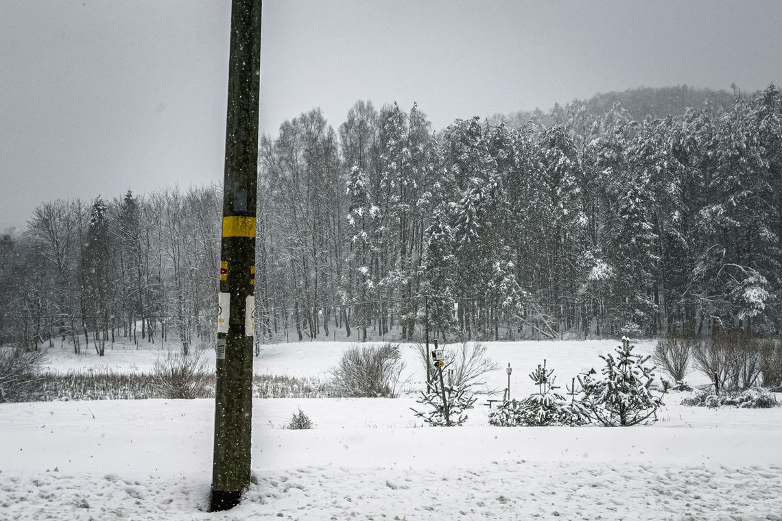 Intensywne opady śniegu sparaliżowały Pomorze. Zamknięte zoo, cmentarze, przerwy w dostawach prądu zima na Kaszubach, 2026
