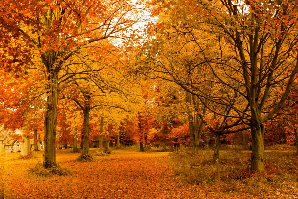 Pogoda Wszystkich Świętych. Czy będzie padać? IMGW zapowiada ciepły początek listopada