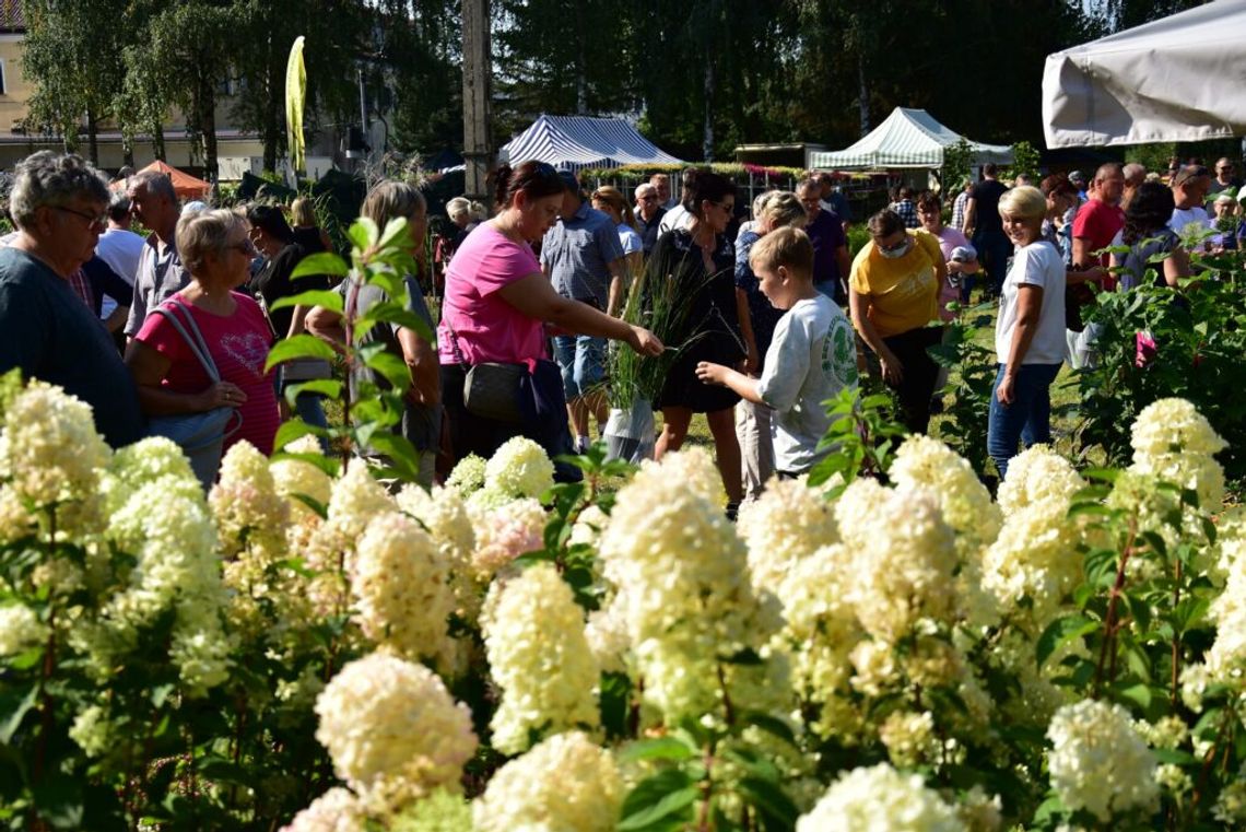 Jesienne Targi Ogrodnicze w Starym Polu
