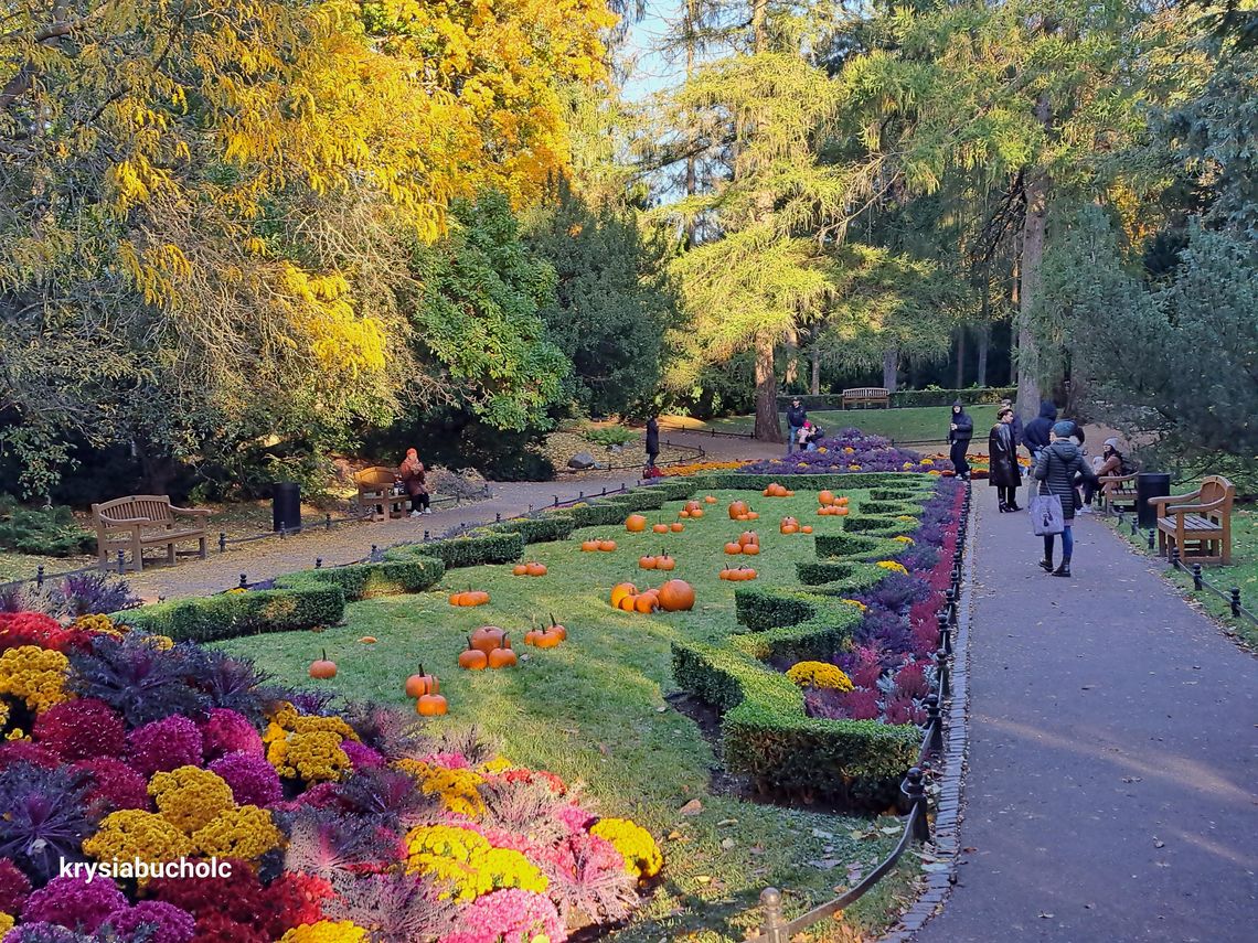 Jesienny park oliwski w obiektywie oliwianki Krystyny Bucholc Jesienny park oliwski w obiektywie oliwianki Krystyny Bucholc