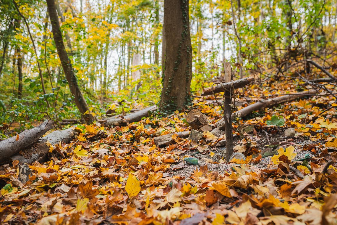 Trójmiejski Park Krajobrazowy, zdjęcie ilustracyjne