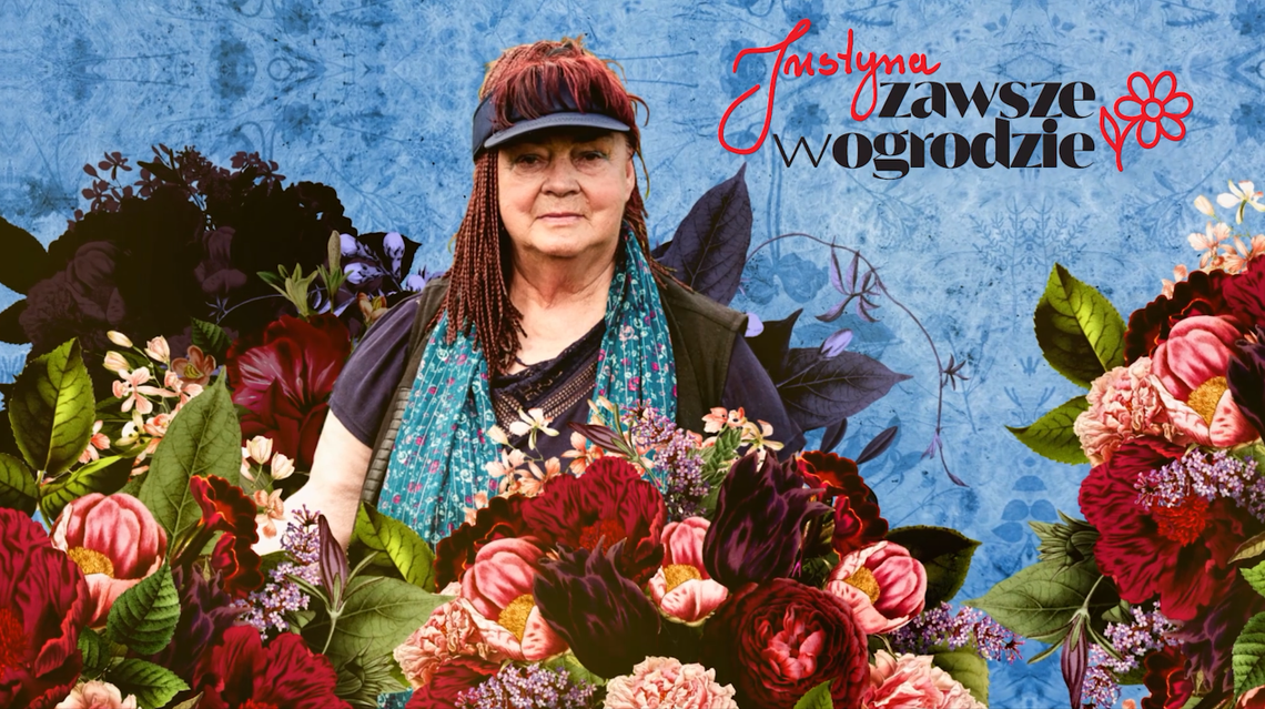 „Justyna zawsze w ogrodzie” cz. 2. Forsycja - biologiczny termometr zwiastujący wiosnę