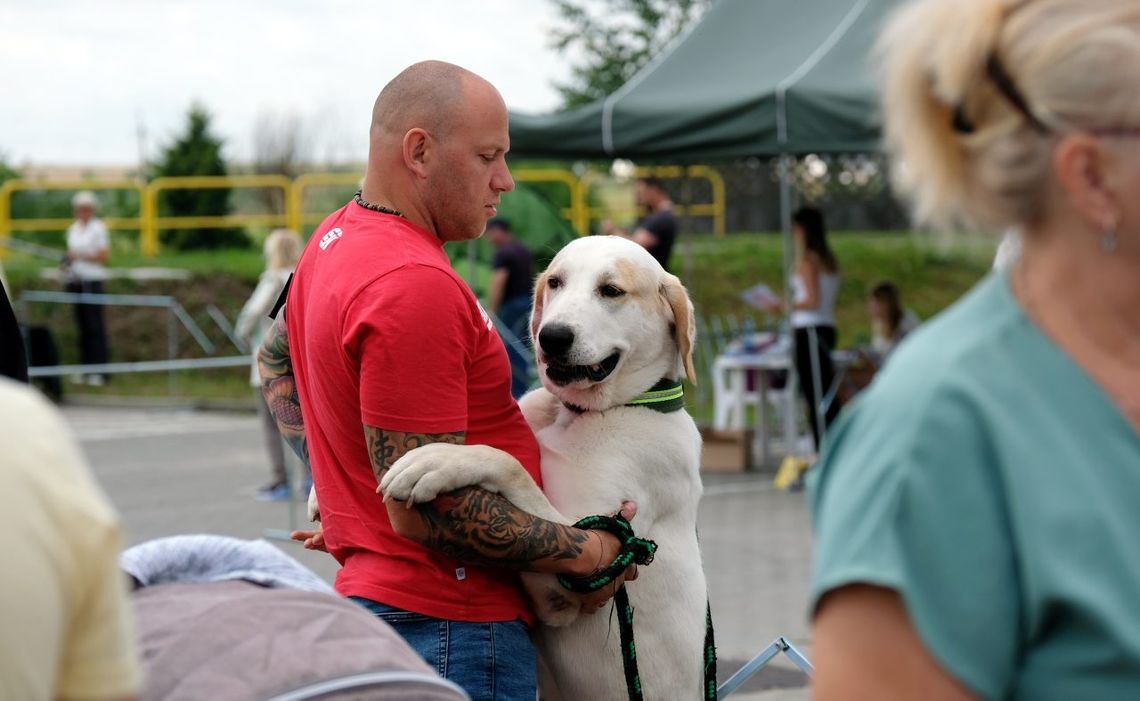 Kaszubska Wystawa Psów Rasowych – National Dog Show w Chojnicach