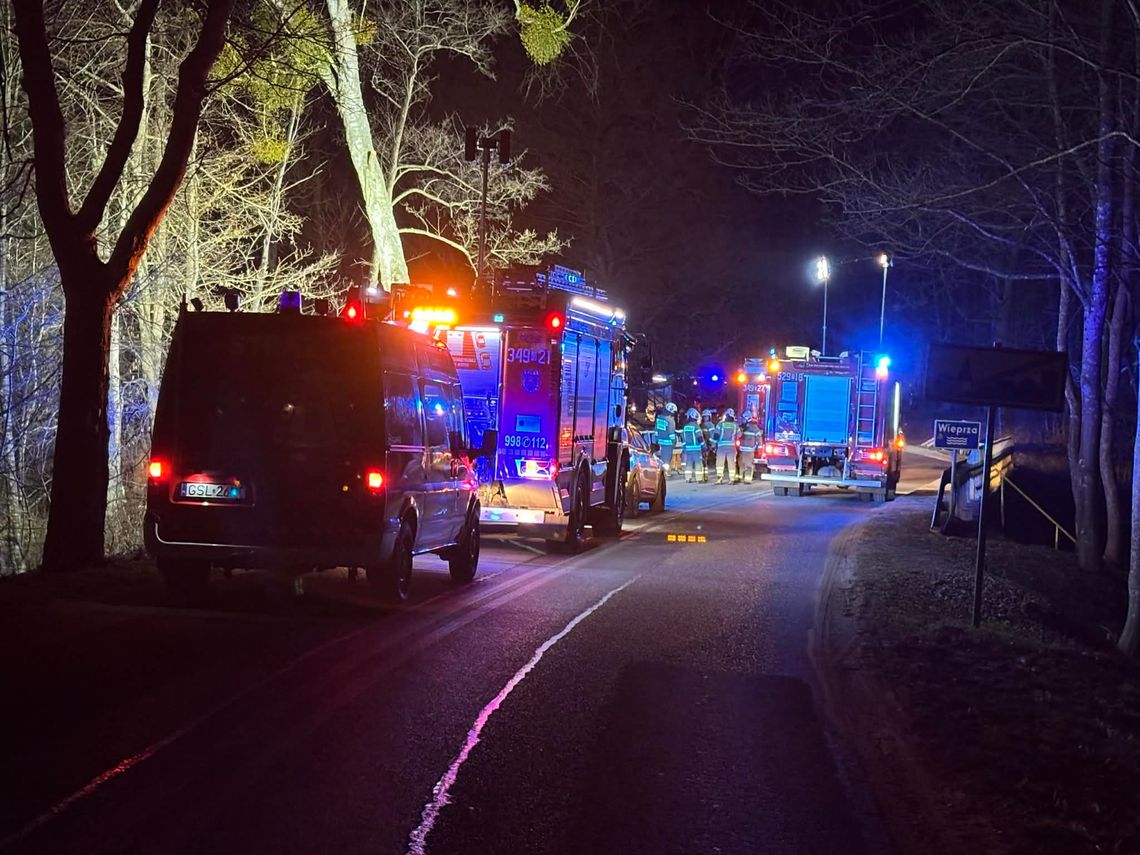 Tragiczny wypadek w Kępicach! Samochód wpadł do rzeki, nie żyje jedna osoba