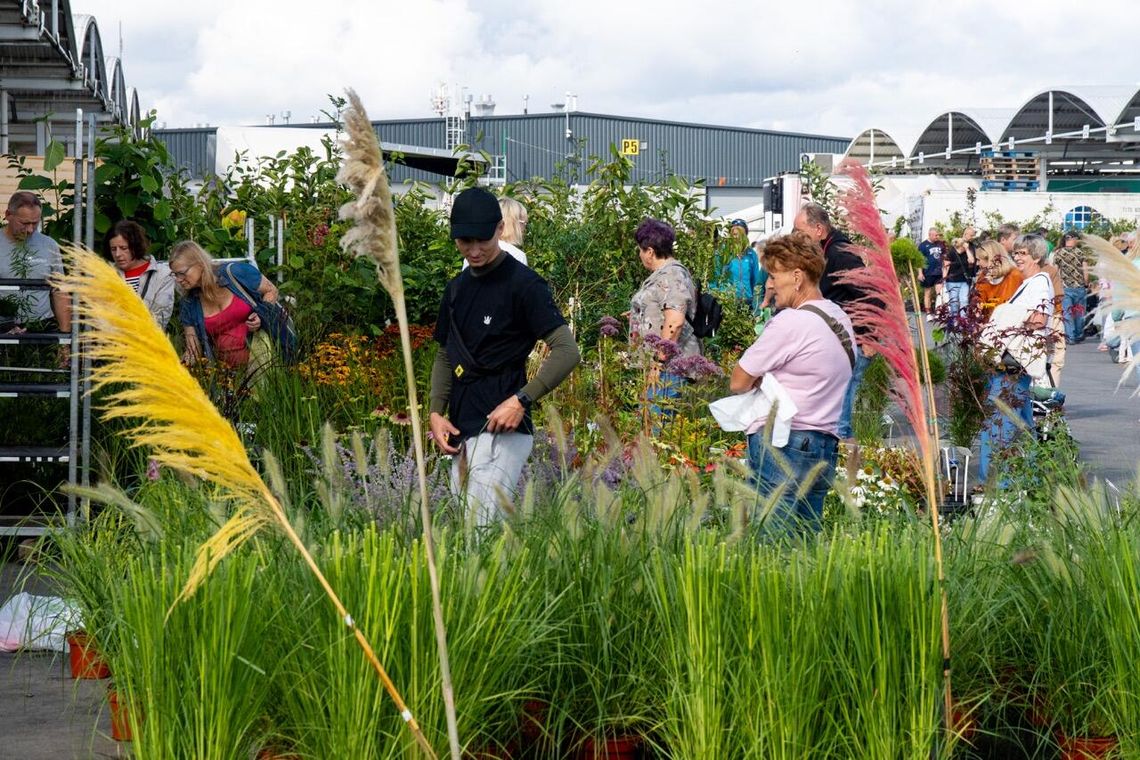 Kiermasz ogrodniczy w  Pomorskim Centrum Hurtowym Rënk kusił ofertą i atrakcjami