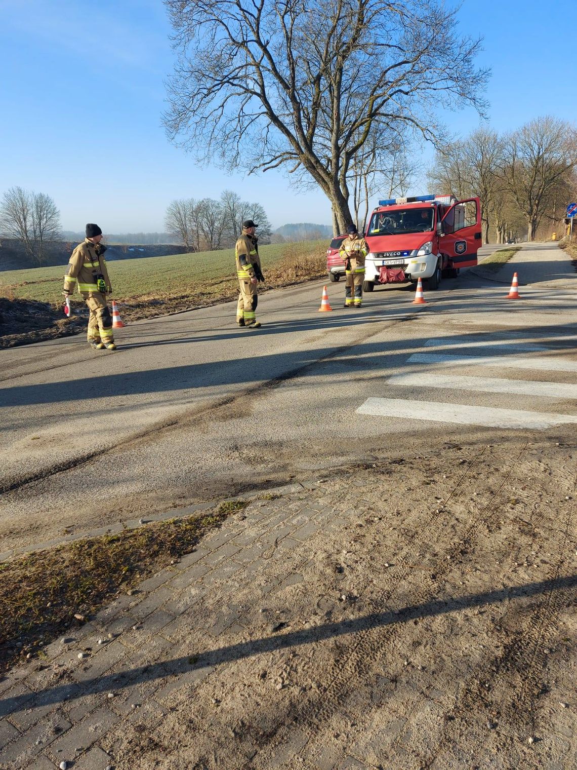 Kilkadziesiąt podciętych drzew na trasie Puc - Grabowo Kościerskie. Droga jest zablokowana!