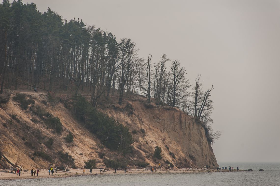 klif Orłowski w Gdyni – widok na pionową ścianę i Morze Bałtyckie