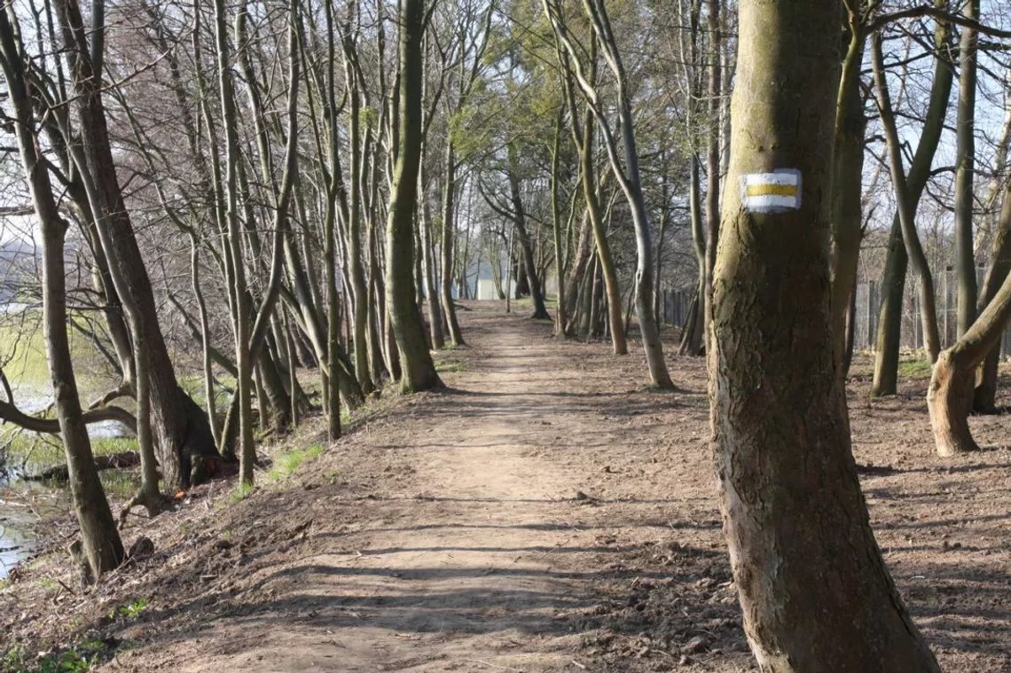 Kolbudy: kłótnia o plan budowy ścieżki pieszo-rowerowej wokół jeziora Kolbudy: kłótnia o plan budowy ścieżki pieszo-rowerowej wokół jeziora