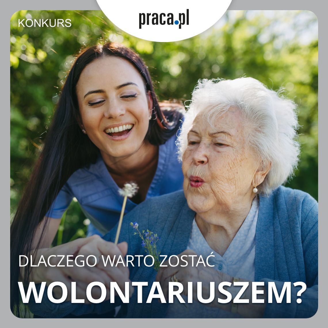 konkurs dla wolontariuszy, praca.pl