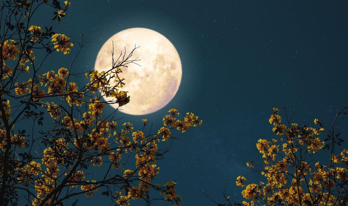 Pełnia Kwiatowego Księżyca