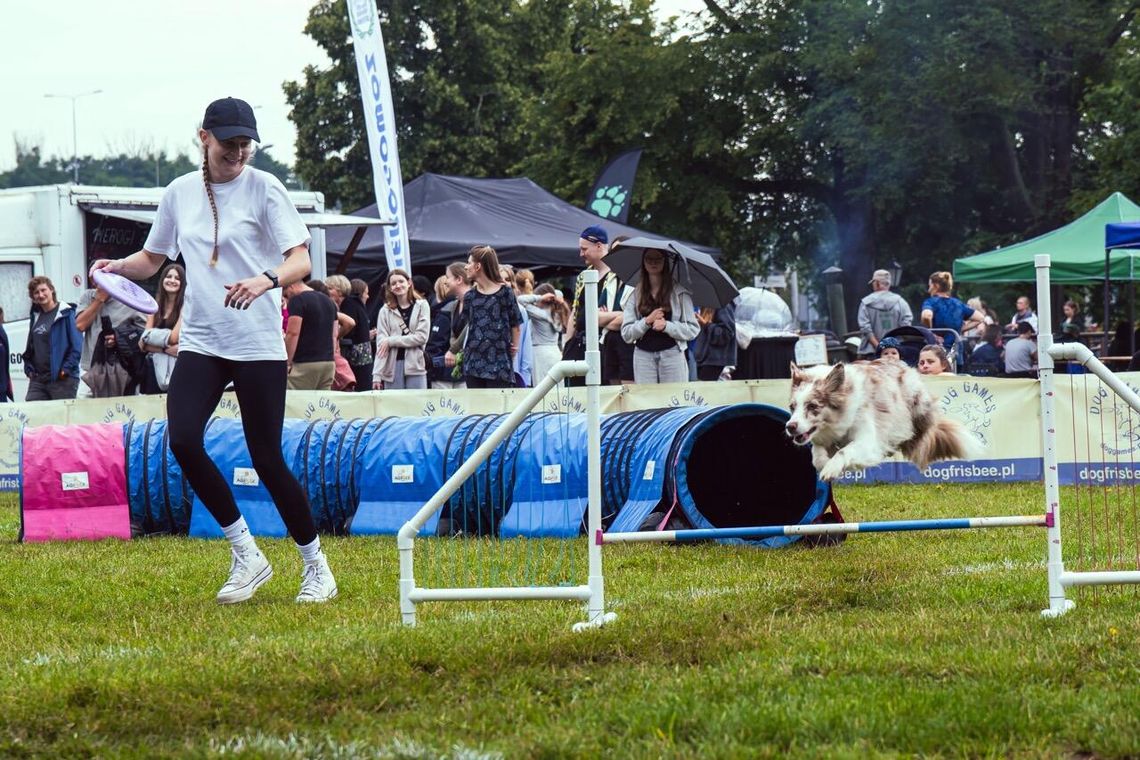 Park Kolibki opanowały latające psy. Widowiskowe zawody dogfrisbee w Gdyni