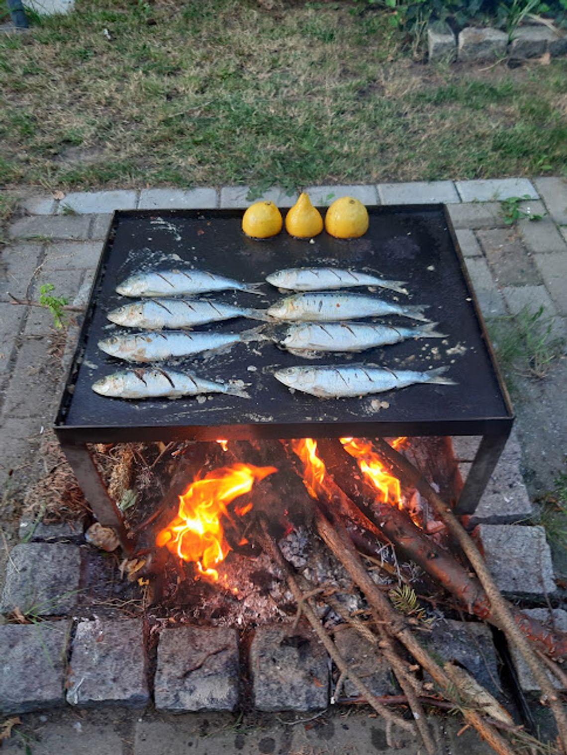 ryby z grilla