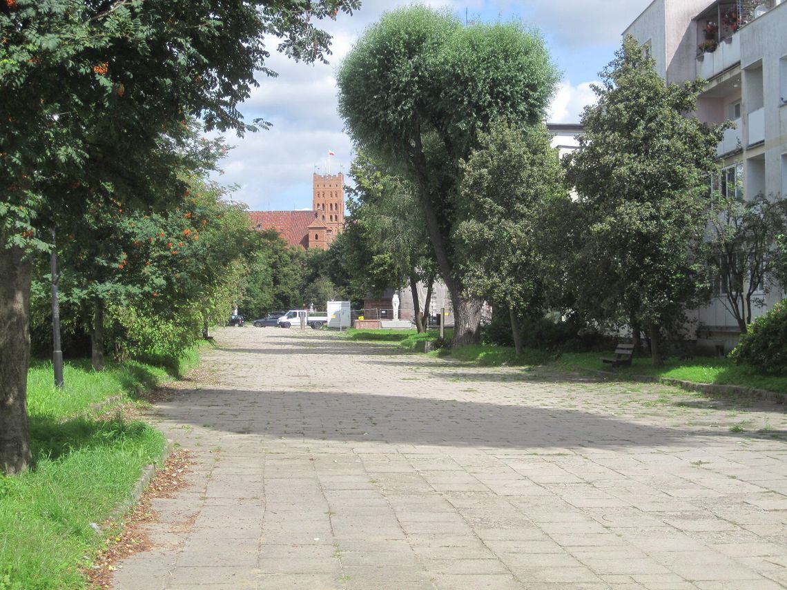 Rewitalizacja Traktu Jana Pawła II w Malborku. Nowa zieleń i więcej przestrzeni publicznej