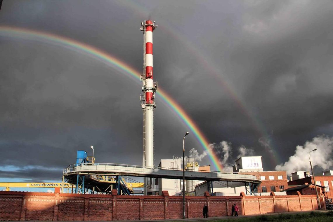 Malbork: Kampania w jedynej na Pomorzu cukrowni ruszy od 8 września