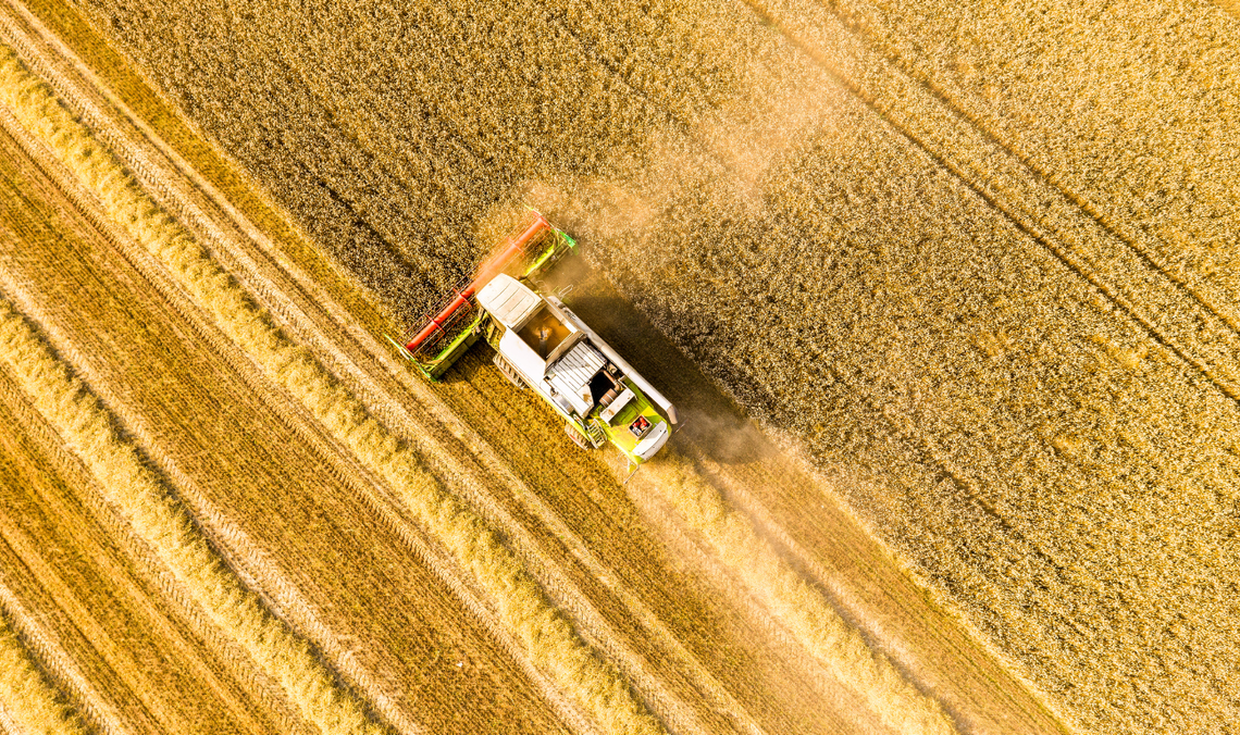 Mit o polexicie na wsi obalony. Ponad 60 proc. mieszkańców wsi chce pozostać w UE Mit polexitu na wsi obalony. Ponad 60 proc. mieszkańców wsi chce pozostać w UE