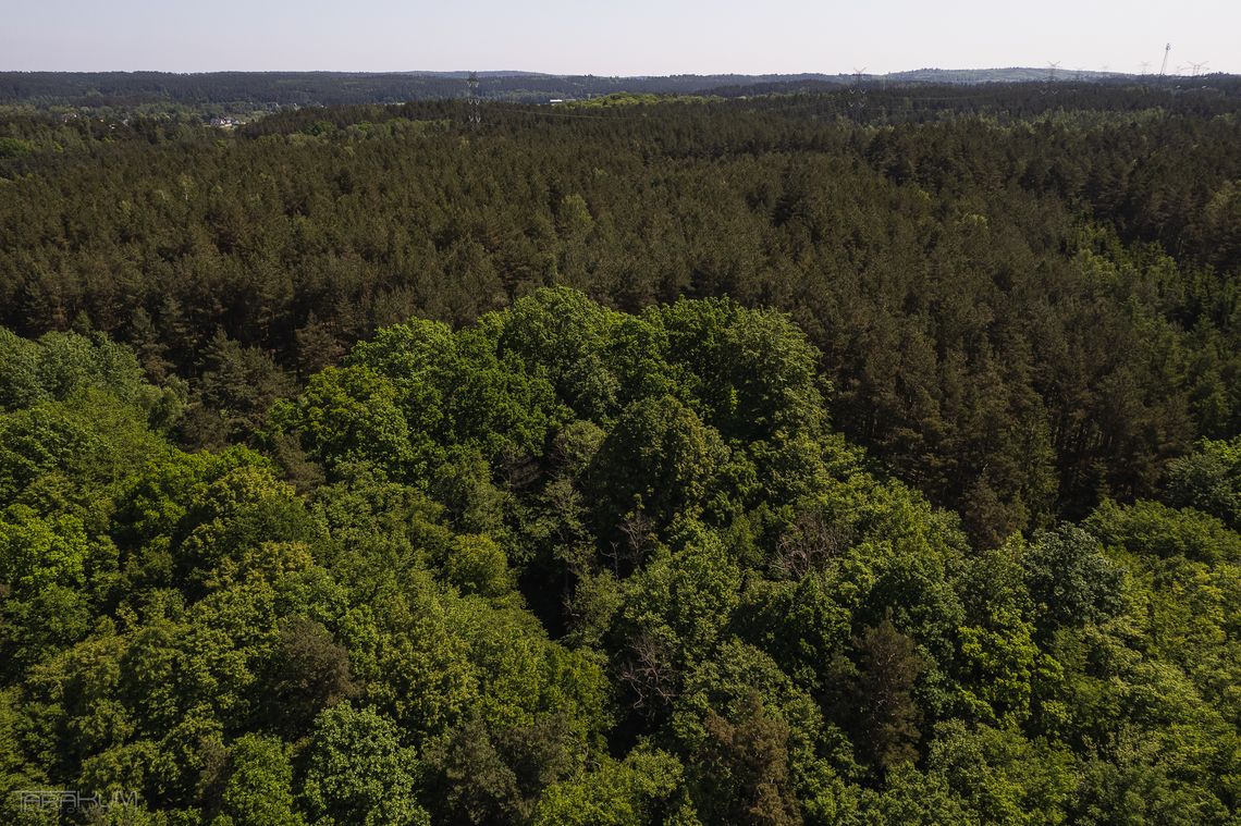 Na Pomorzu powstało 10 nowych rezerwatów przyrody. Gdzie są obszary szczególnie chronione?