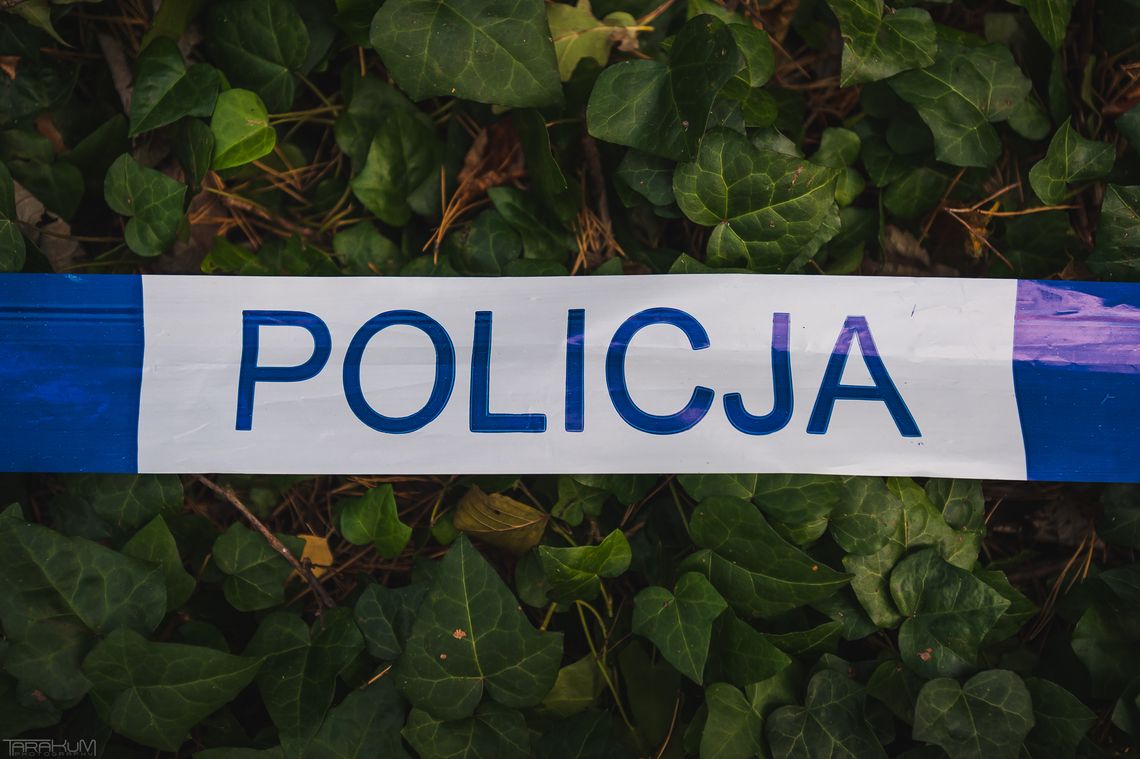 policja