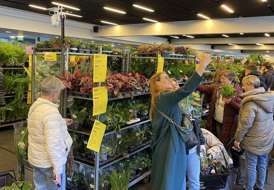 Największy targ roślin doniczkowych w Polsce! W Gdańsku odbywa się Festiwal Roślin