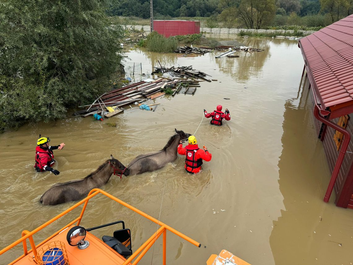 Naukowcy chcą debaty i apelują do rządu. Katastrofa klimatyczna to nowa rzeczywistość