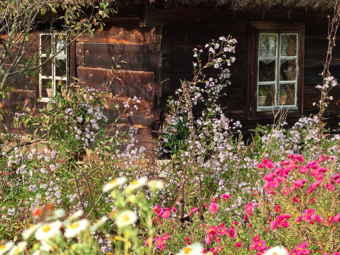 Naukowo o konopiach. Reaktywacja gdańskiego oddziału Stowarzyszenia Inżynierów i Techników Ogrodnictw Naukowo o konopiach. Reaktywacja oddziału Stowarzyszenia Inżynierów i Techników Ogrodnictw