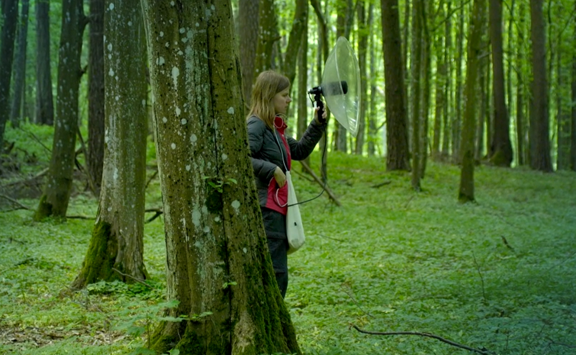 Nie widzi ptaków, ale słyszy je jak nikt inny. Jedyna Polka na liście wpływowych kobiet BBC Nie widzi ptaków, ale słyszy je jak nikt inny. Jedyna Polka na liście wpływowych kobiet BBC