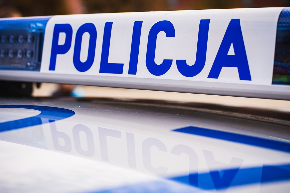 Nielegalne oprogramowanie do diagnostyki ciężarówek. 48-latek z pięcioma zarzutami