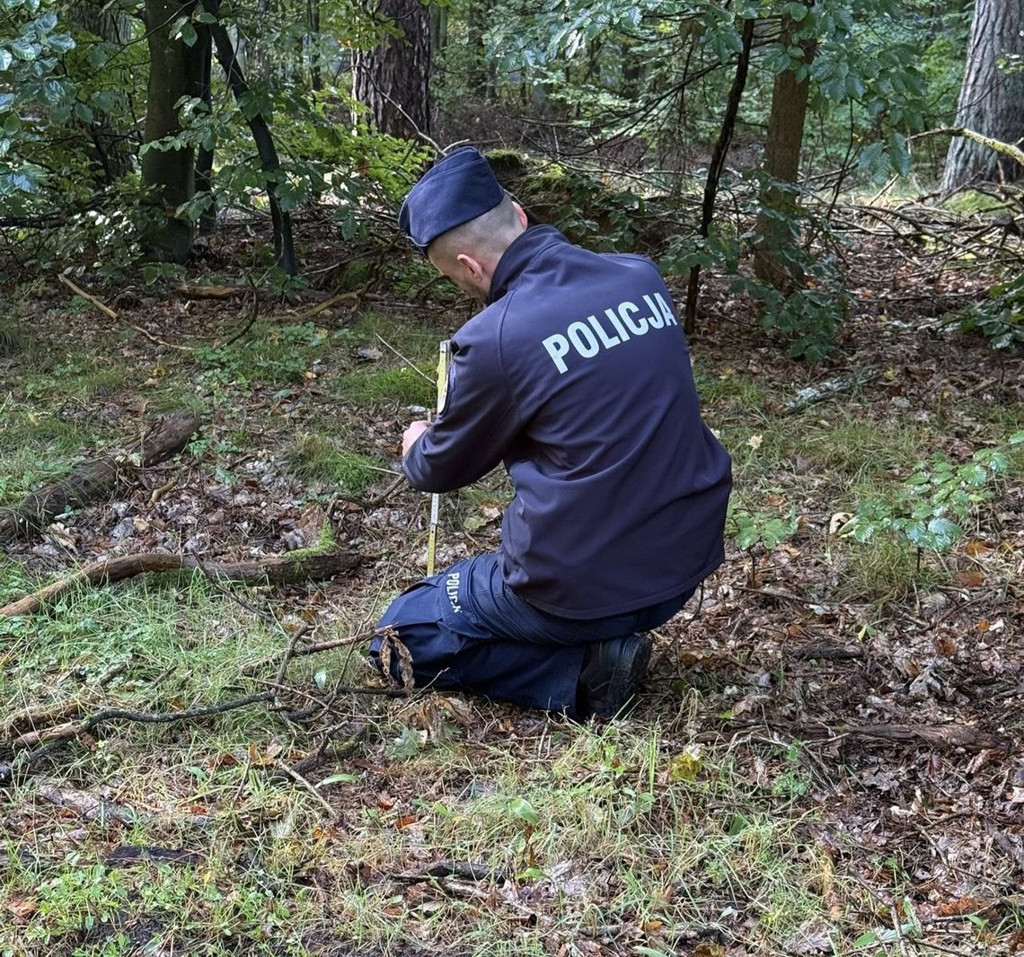 Niewybuch w sopockim lesie. Pocisk z czasów II wojny światowej znalazł grzybiarz Niewybuch w sopockim lesie. Pocisk z czasów II wojny światowej znalazł grzybiarz