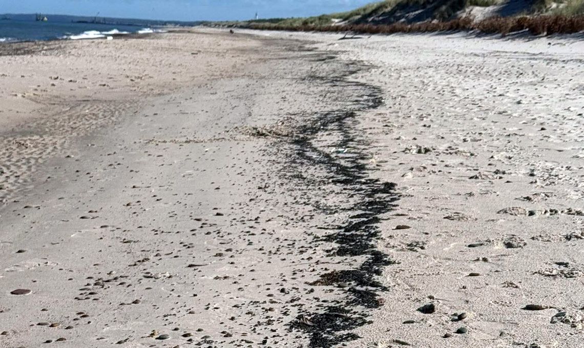 Nieznana substancja na plażach Środkowego Wybrzeża. Urząd Morski w Słupsku zaleca ostrożność Nieznana substancja na plażach Środkowego Wybrzeża. Urząd Morski w Słupsku zaleca ostrożność