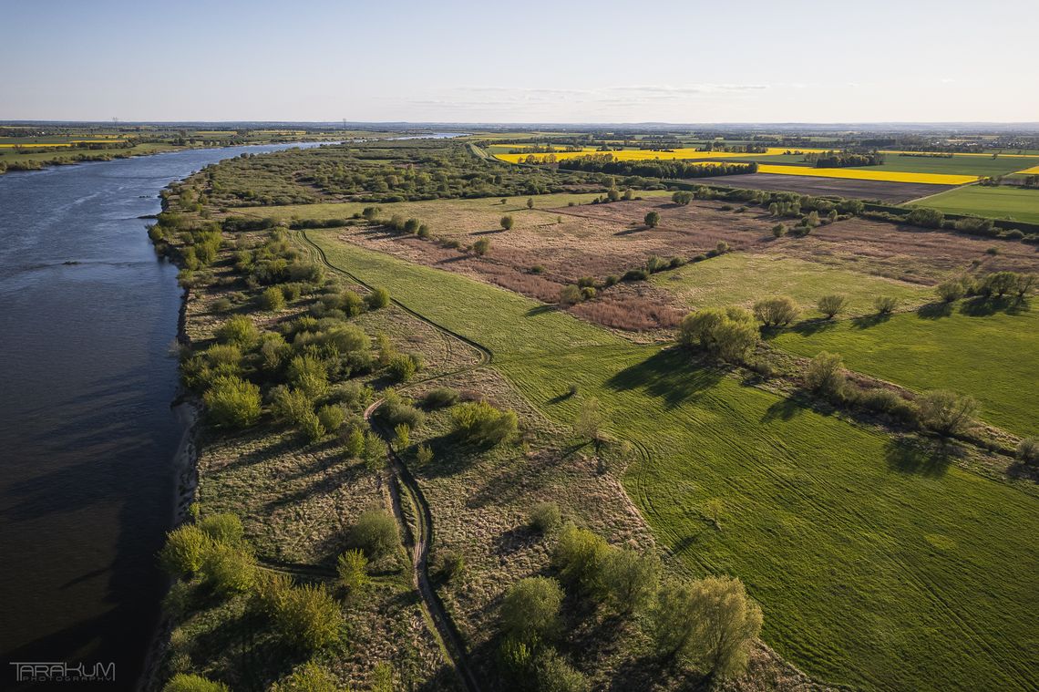 „Delta” Tomasza Słomczyńskiego. Poruszający reportaż o Żuławach