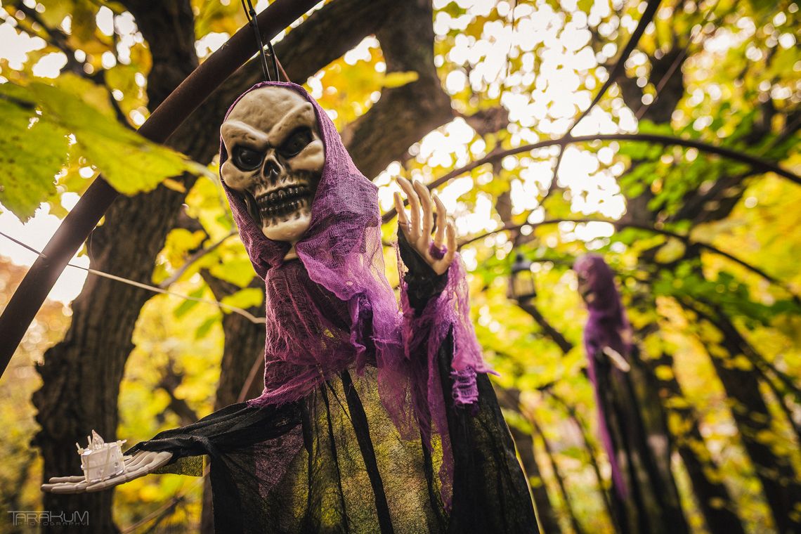 Nawiedzony ogród w Sopocie. Halloweenowy klimat w sercu kurortu
