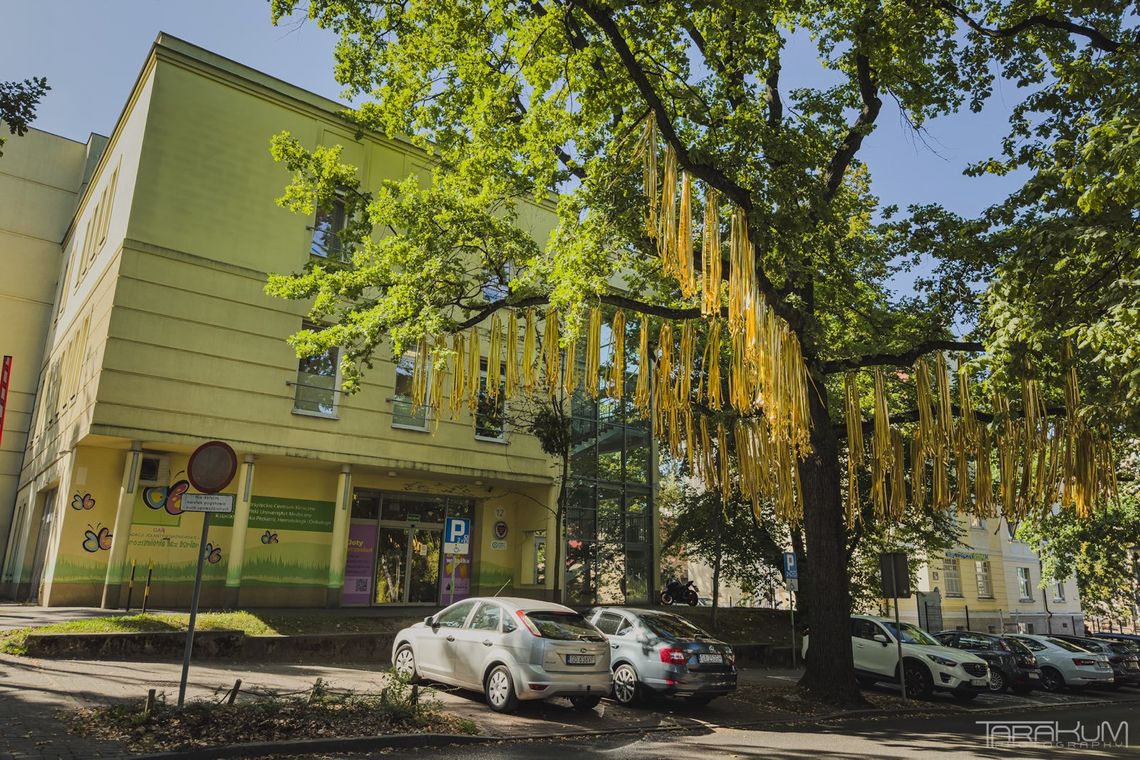 2 tysiące złotych wstążek przed UCK w Gdańsku. To symbole walki dzieci z rakiem